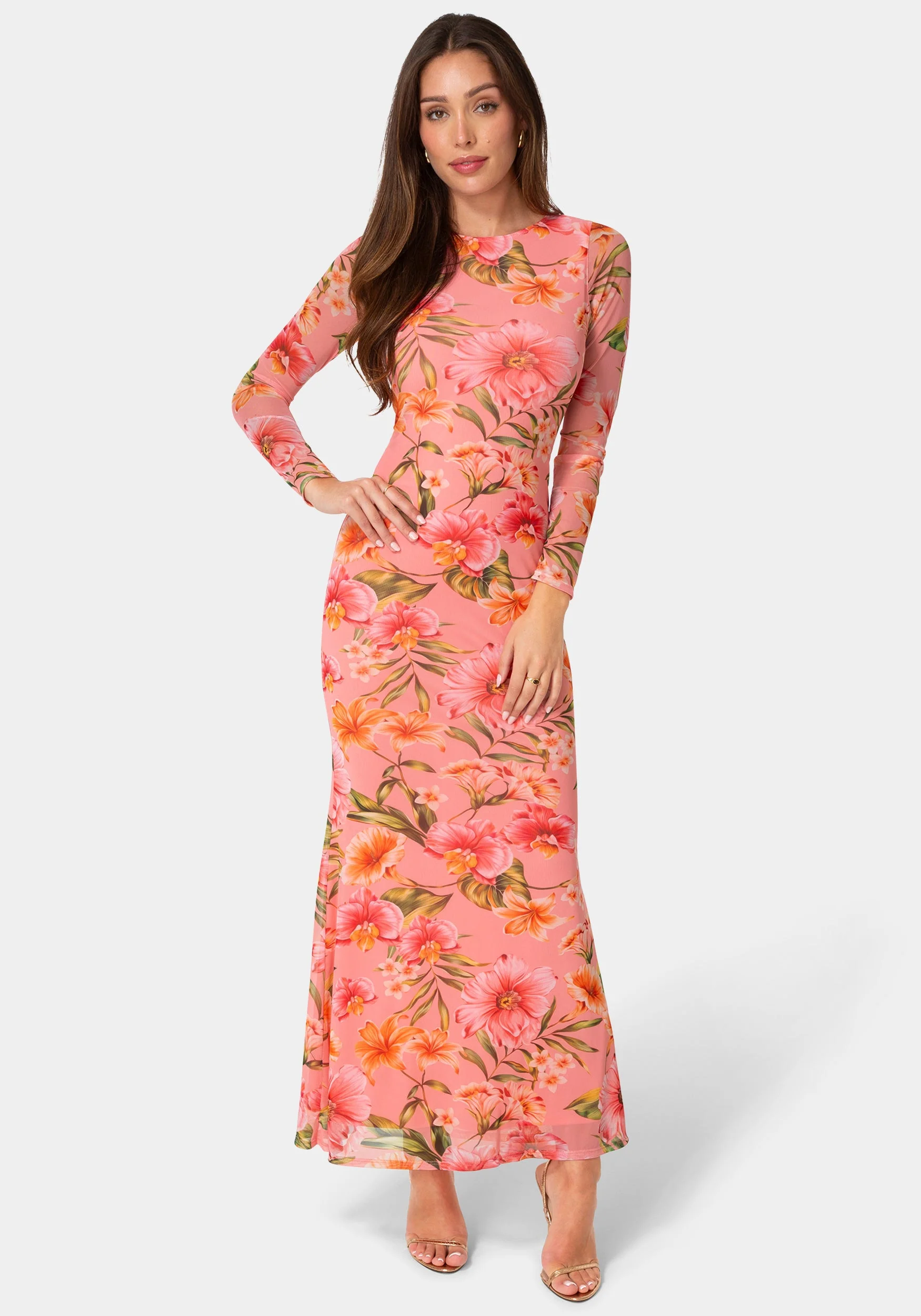 1680-long-sleeve-mesh-maxi-dress-1.webp Long Sleeve Mesh Maxi Dress