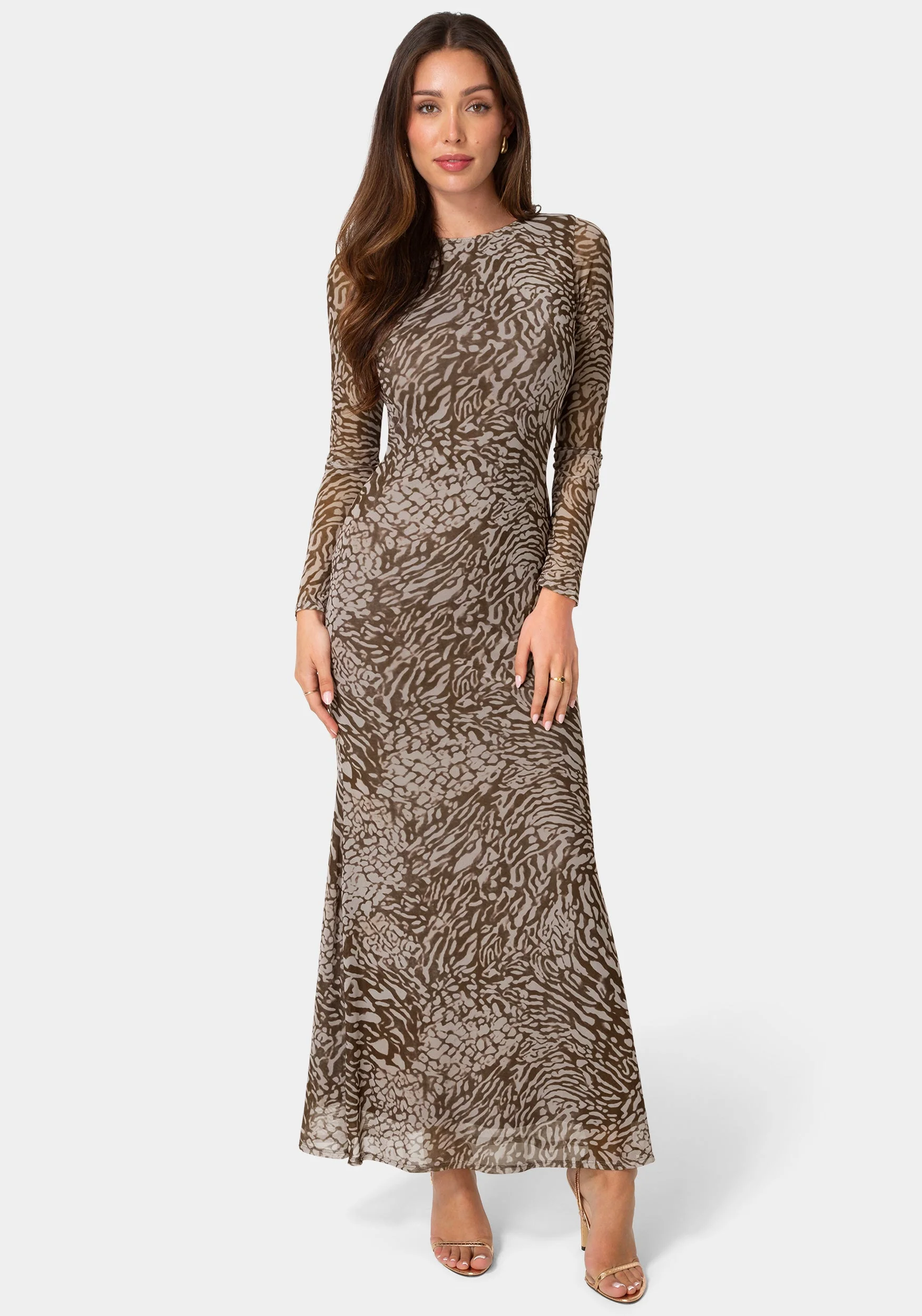 1728-long-sleeve-mesh-maxi-dress-1.webp Long Sleeve Mesh Maxi Dress