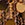 18756-sequin-mini-dress-6.webp Sequin Mini Dress