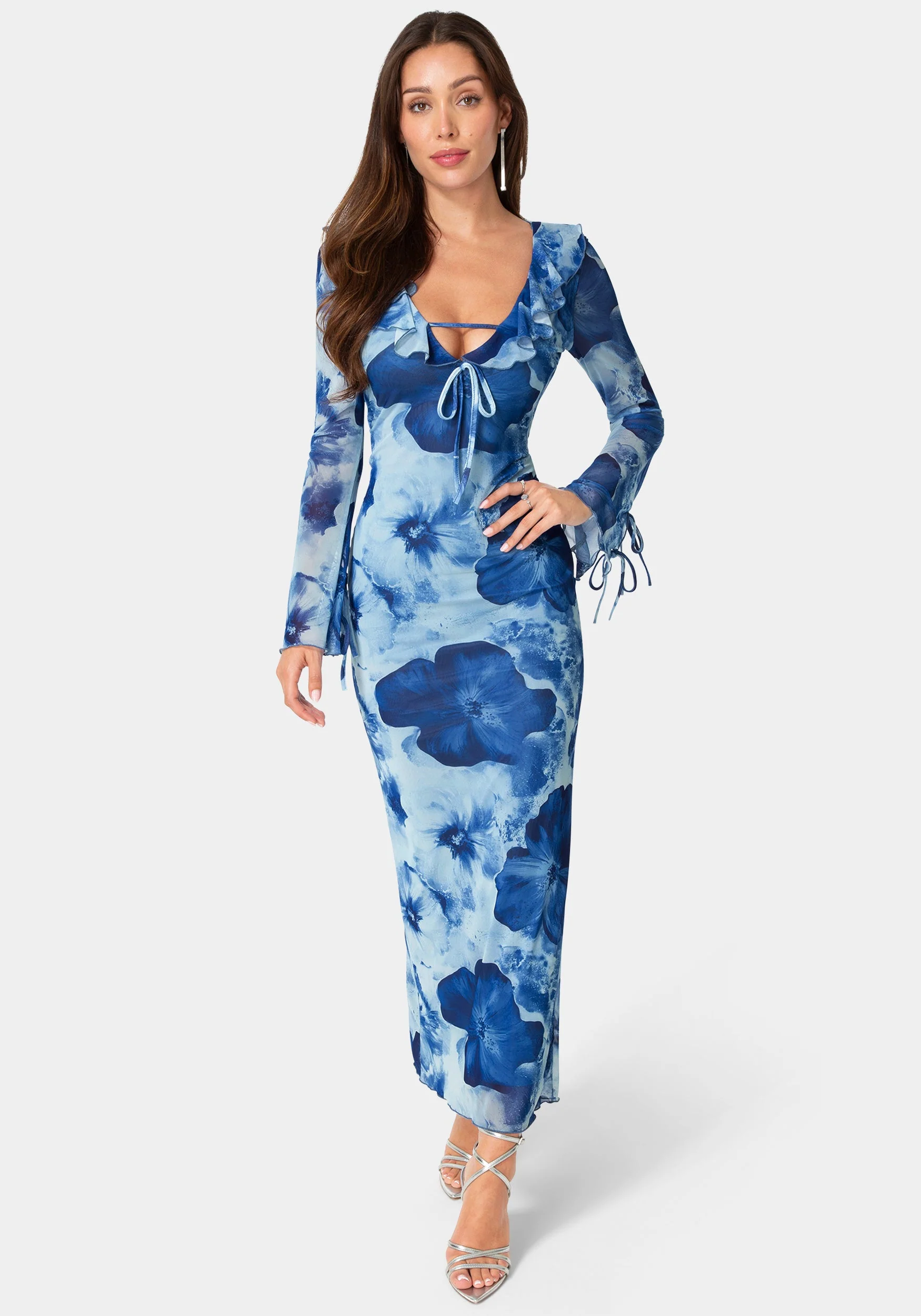 Ruffle Detail Mesh Maxi Dress
