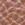7930-kate-shopper-5.jpg Kate Shopper